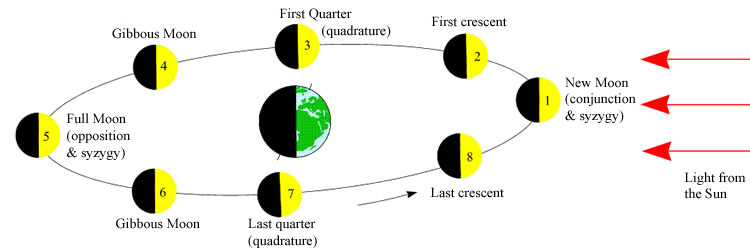 Understanding - Fundamental concepts - Phases of the Moon